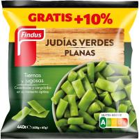 JUDIA PLANA FINDUS 20X440GR